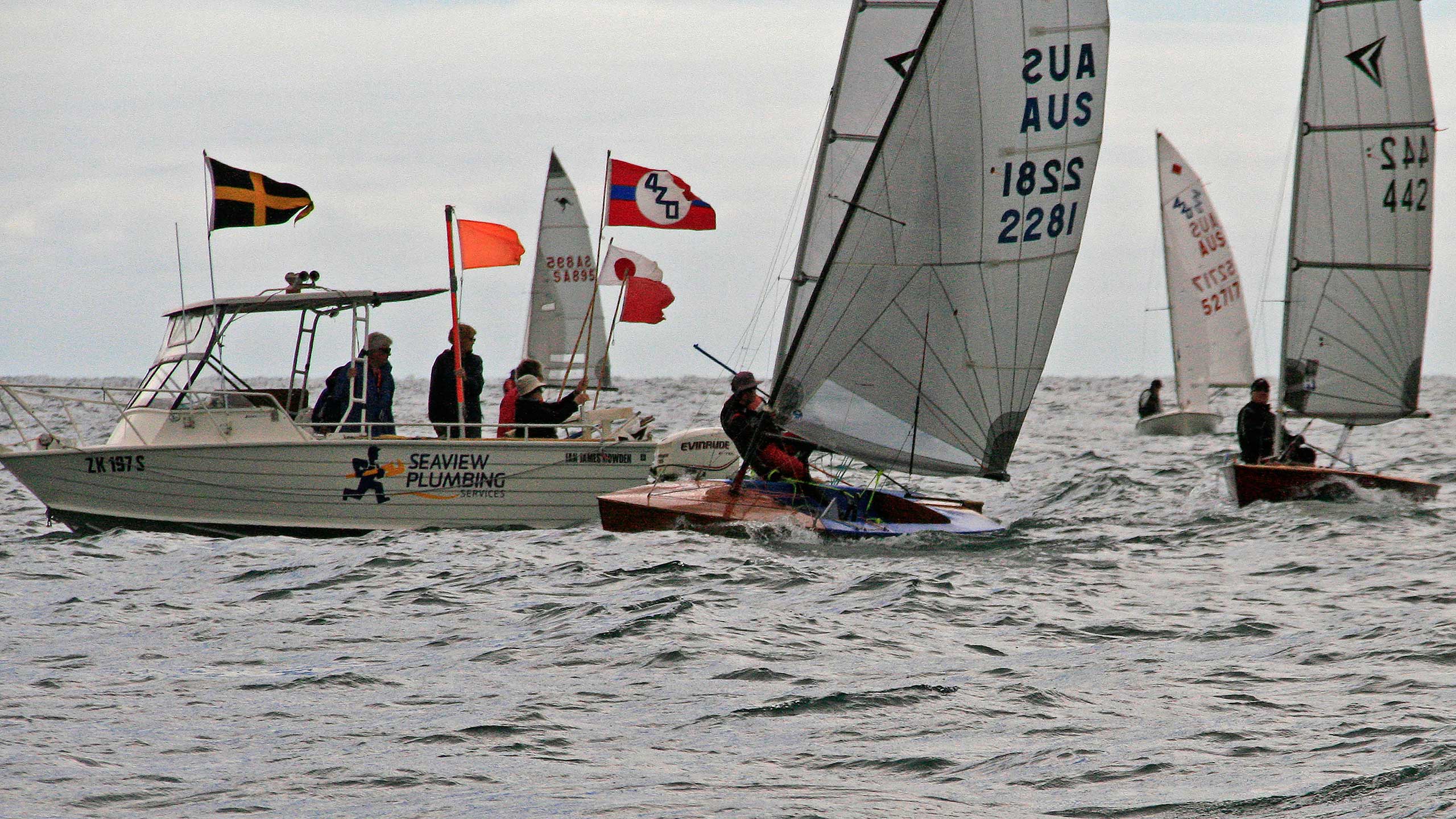 royal brighton yacht club results